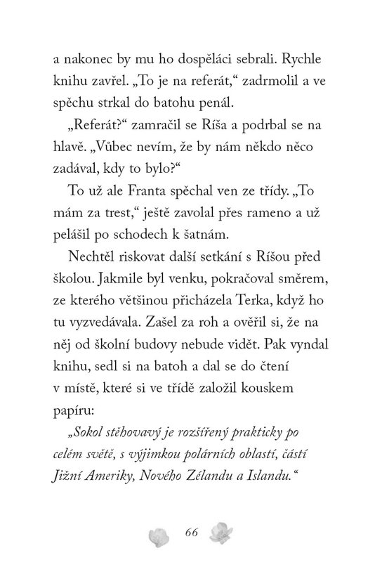 Nové příběhy se šťastným koncem – Poraněný sokol