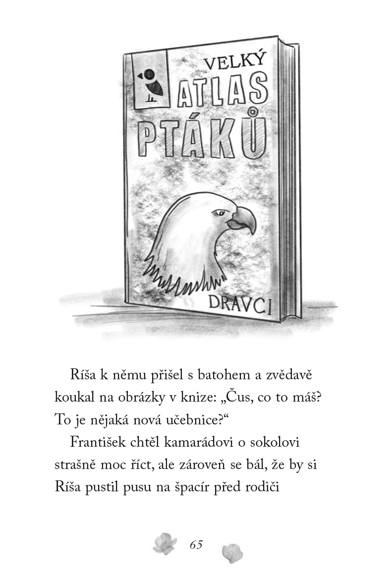 Nové příběhy se šťastným koncem – Poraněný sokol