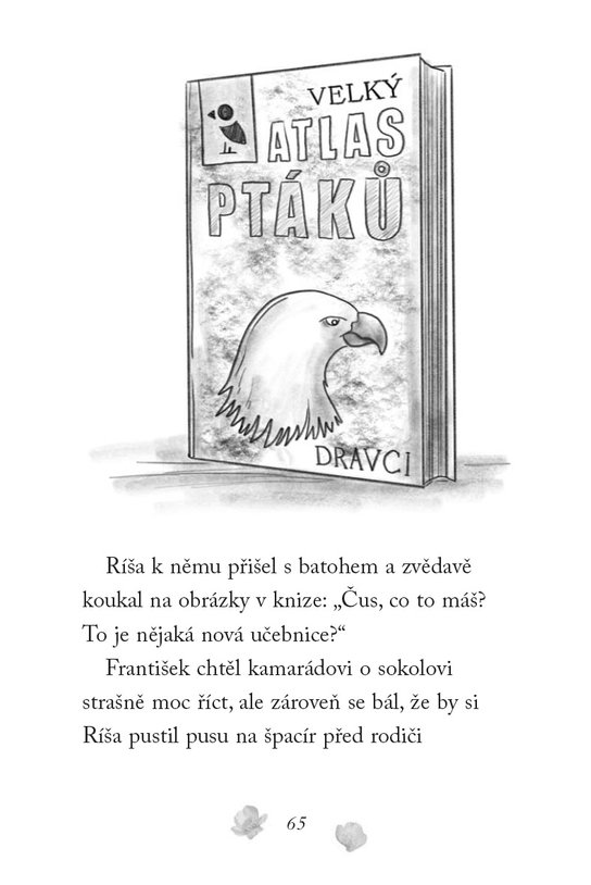 Nové příběhy se šťastným koncem – Poraněný sokol