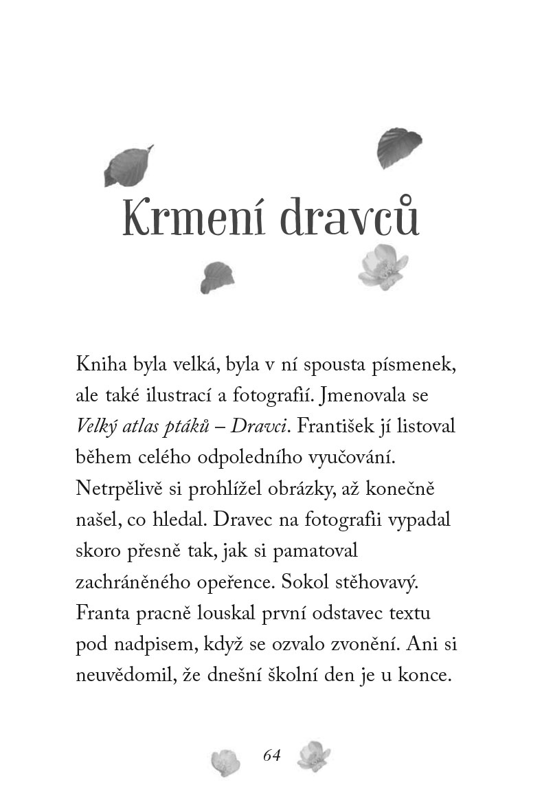 Nové příběhy se šťastným koncem – Poraněný sokol