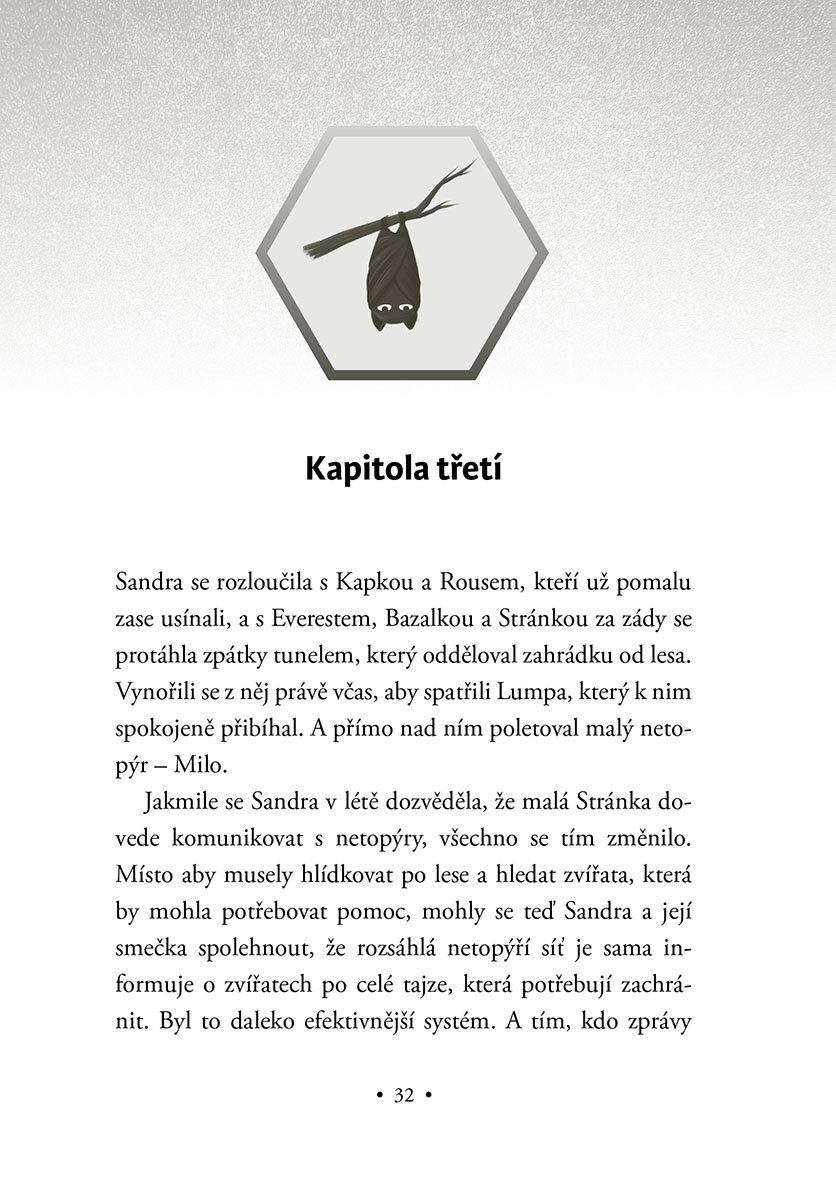 Ochránci divočiny – Útěk do mesy