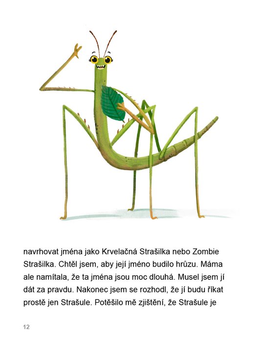 Čteme s radostí – Moje obří strašilka 