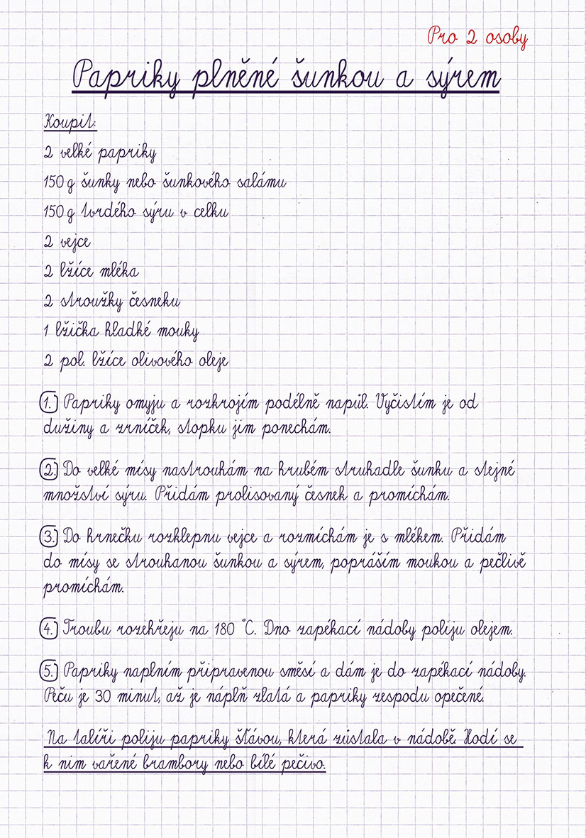 Moje studentská kuchařka