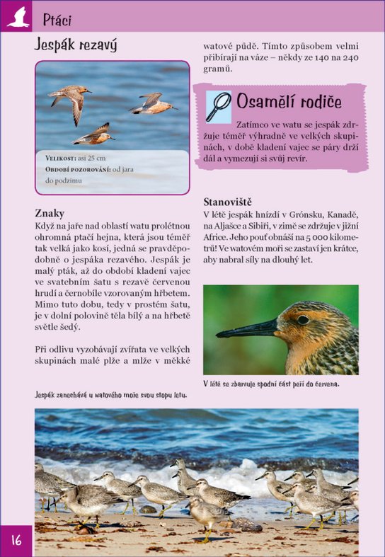 Moře, pláže, pobřeží
