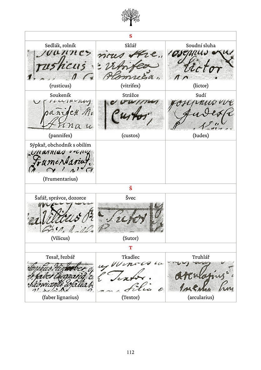 Genealogie pro laiky