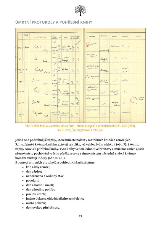 Genealogie pro laiky