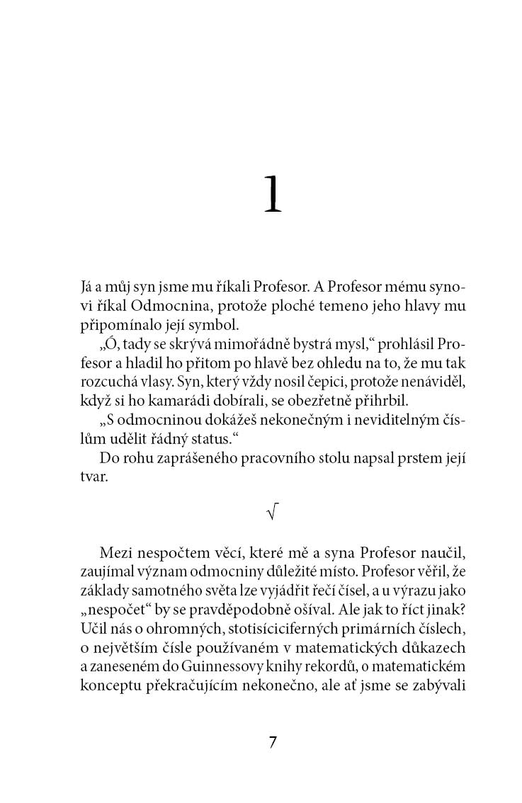 Profesorova milovaná rovnice
