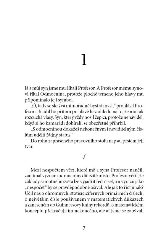 Profesorova milovaná rovnice