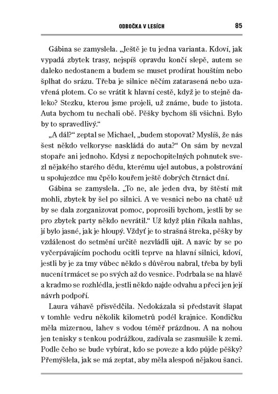 Odbočka v lesích