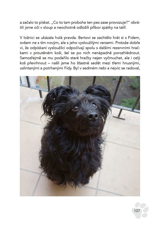 Černý Bert - příběhy ze života nehorázně spokojeného psa