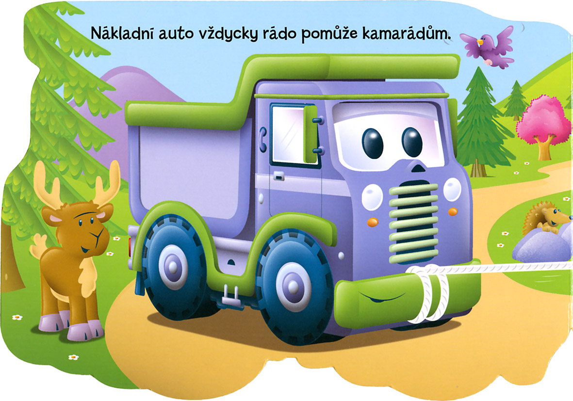 Nákladní auto