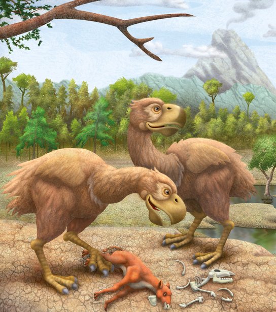 Cestovatel časem - Prehistorie