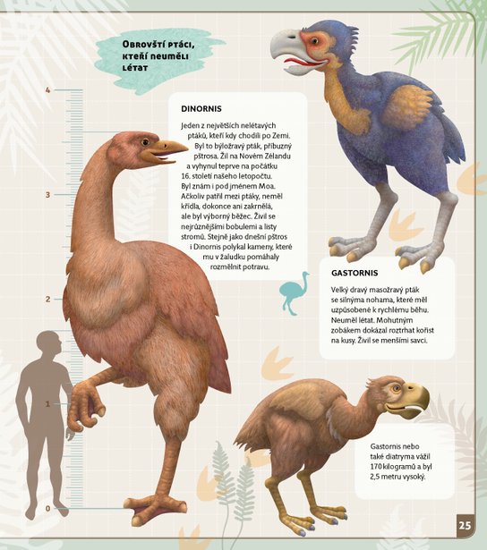Cestovatel časem - Prehistorie