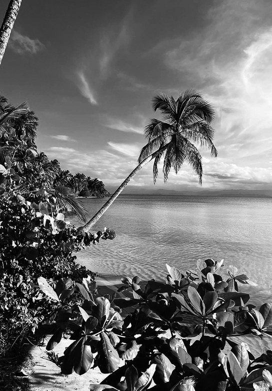Mariposa