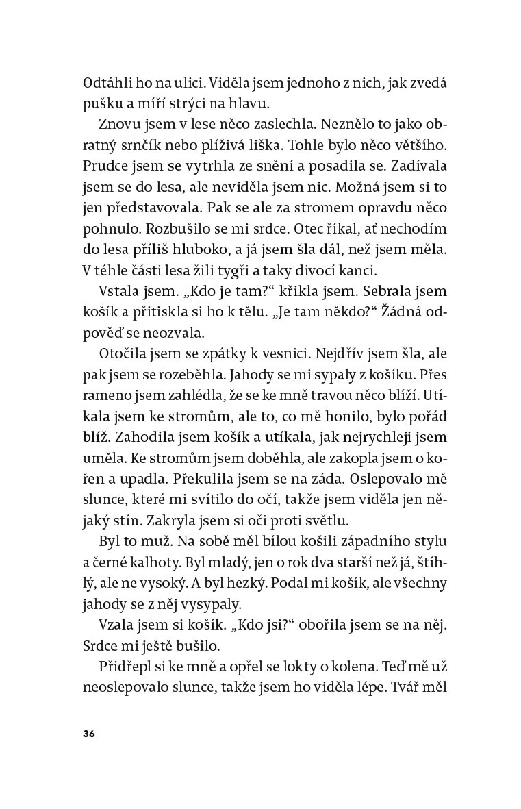 S odvahou draka 
