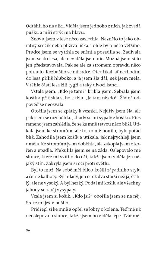 S odvahou draka 