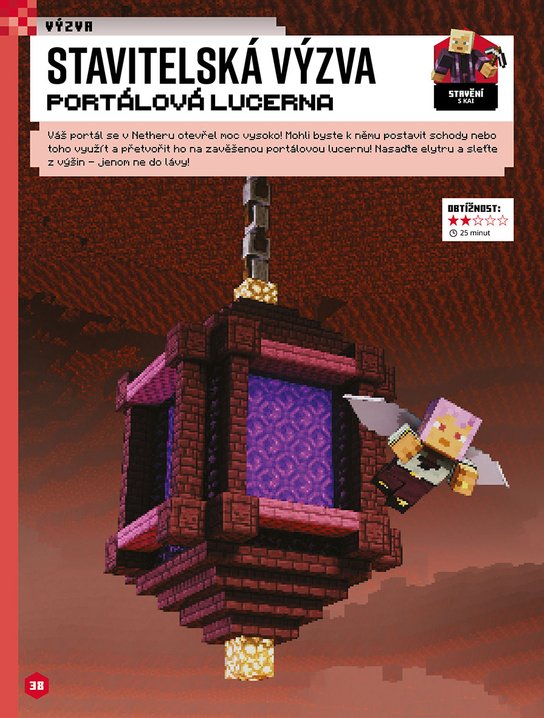 Minecraft - Knížka na celý rok 
