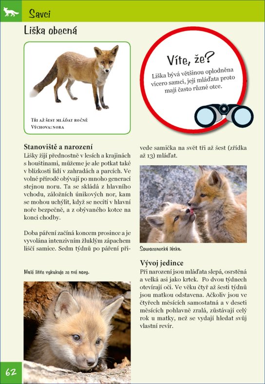 Mláďata