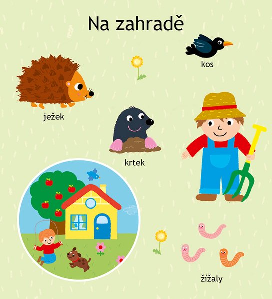 Co je to? - Zvířátka