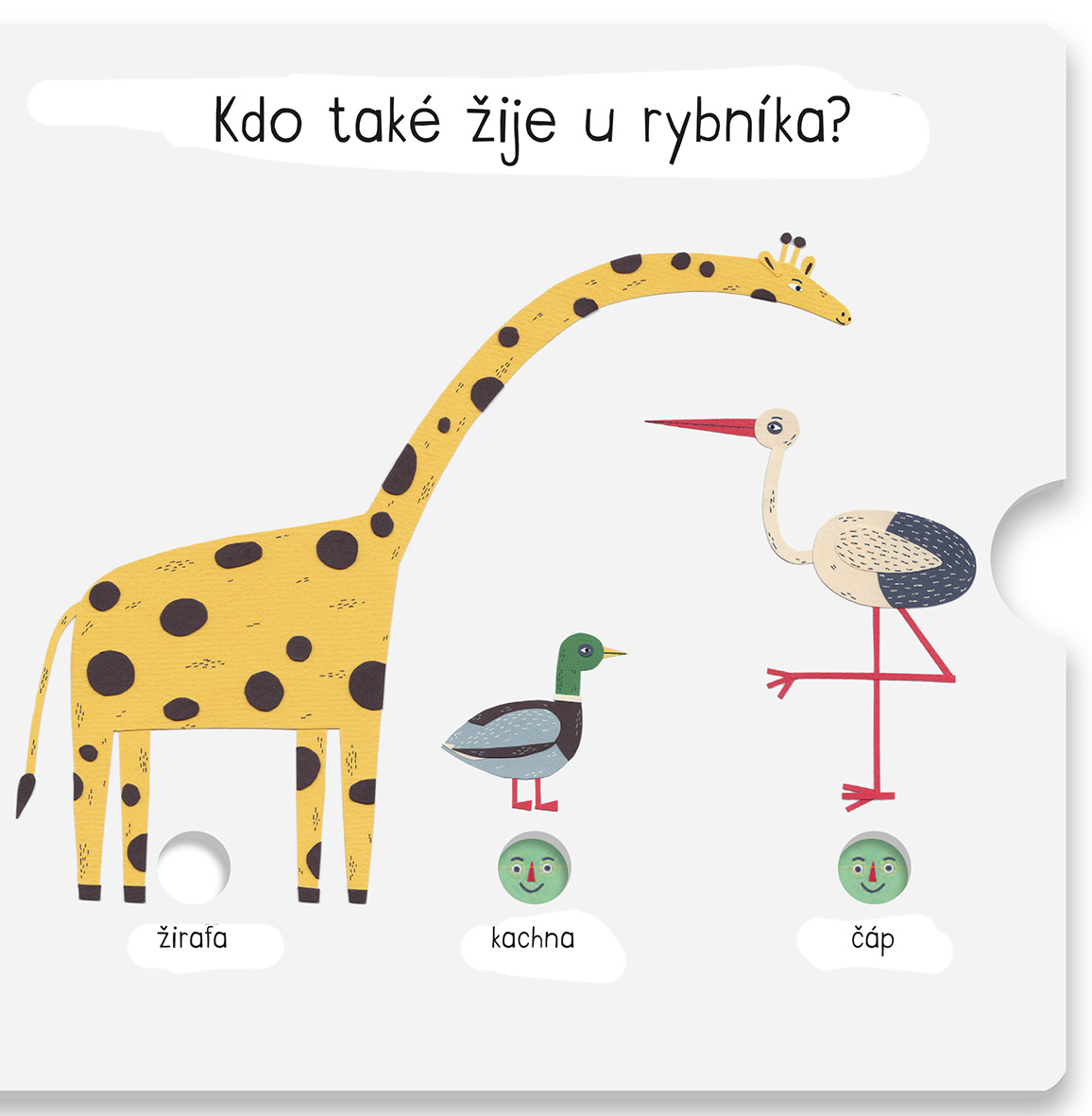Už poznám! Zvířata 