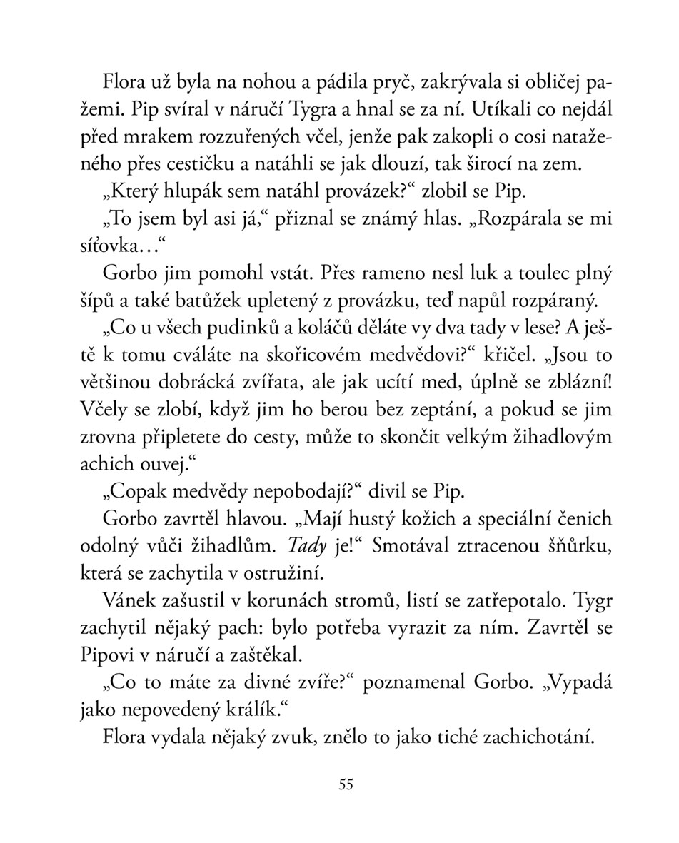 Cesta do země snergů