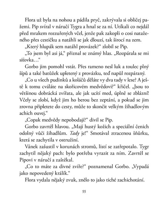 Cesta do země snergů
