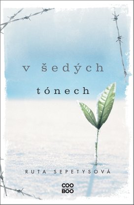 V šedých tónech