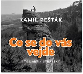 Co se do vás vejde