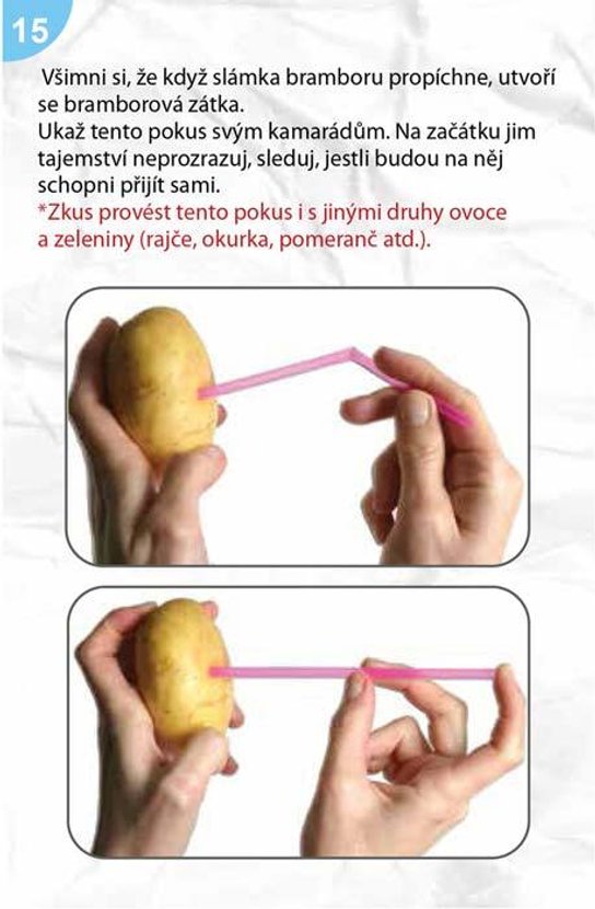 Věda, kouzla, pokusy Mladí badatelé