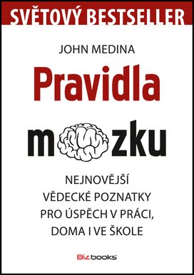 Pravidla mozku