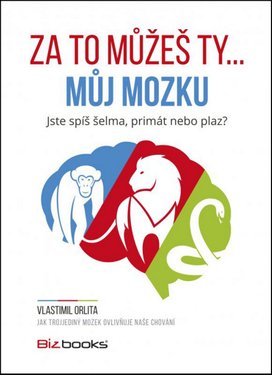 Za to můžeš ty... můj mozku