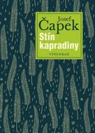 Stín kapradiny 