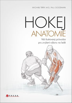 Hokej - anatomie