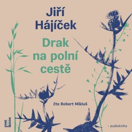 Drak na polní cestě