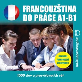 Francouzština do práce A1-B1