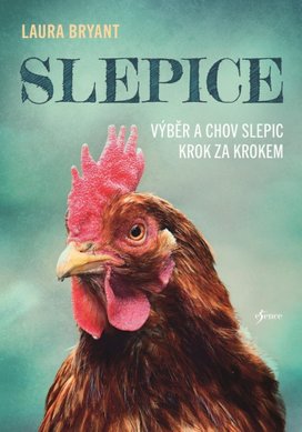 Slepice