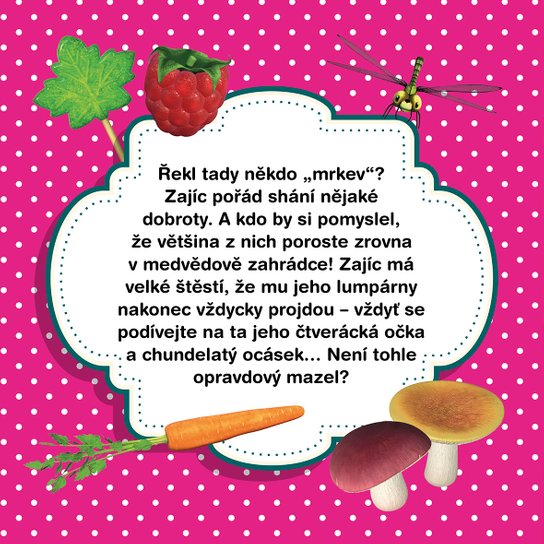 Máša a Medvěd - Kniha puzzle 30 dílků