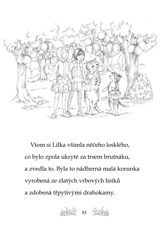 Kamarádky kouzelných zvířátek 3: Velké překvapení Evky Štětinkové