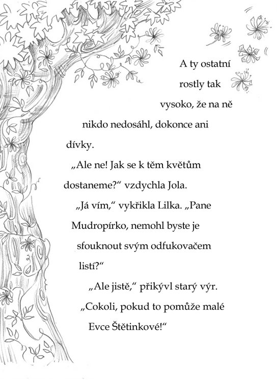 Kamarádky kouzelných zvířátek 3: Velké překvapení Evky Štětinkové