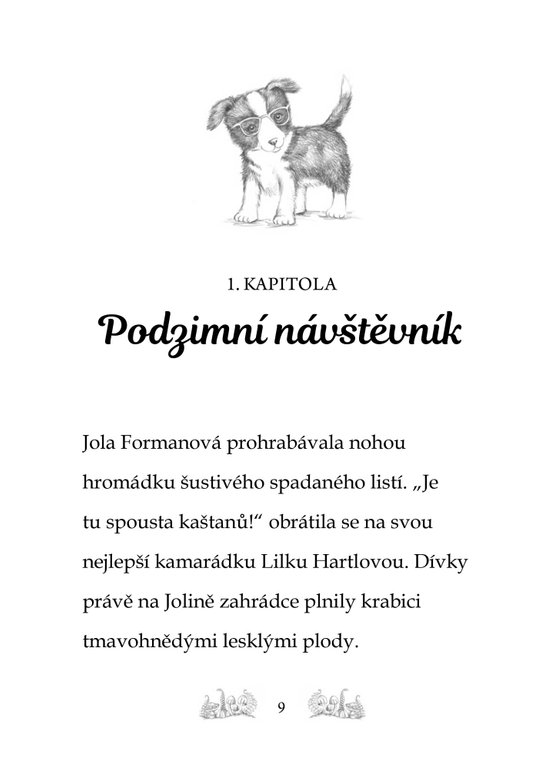 Kamarádky kouzelných zvířátek 3: Velké překvapení Evky Štětinkové