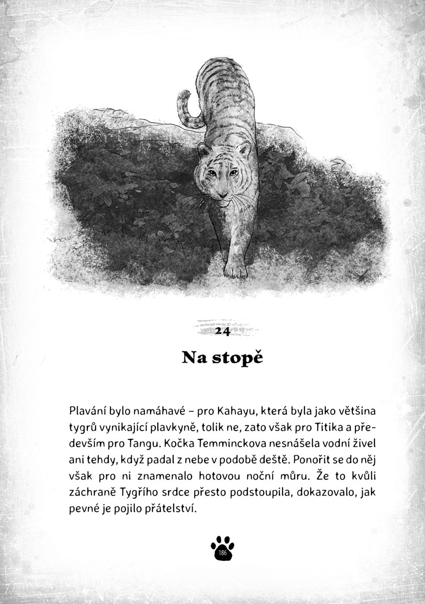 Tygří srdce – Ostrov Stínových válečníků