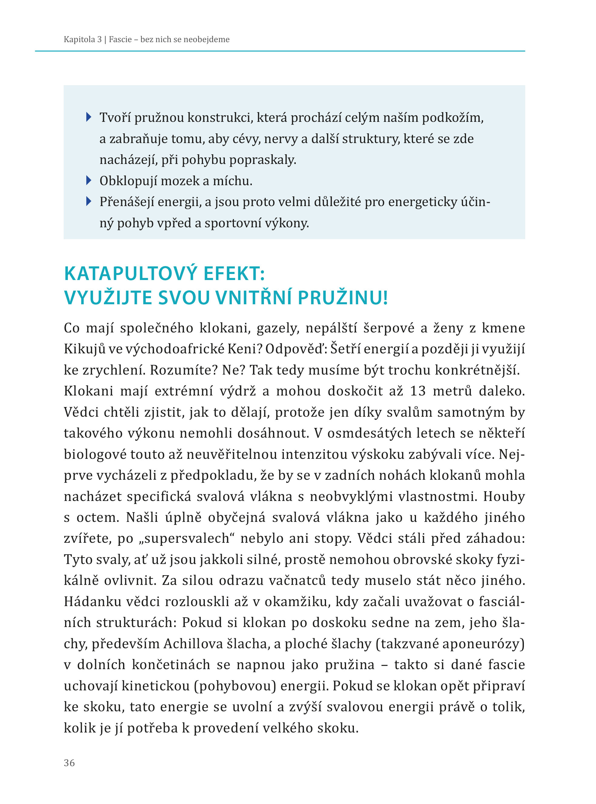 Každý krok se počítá