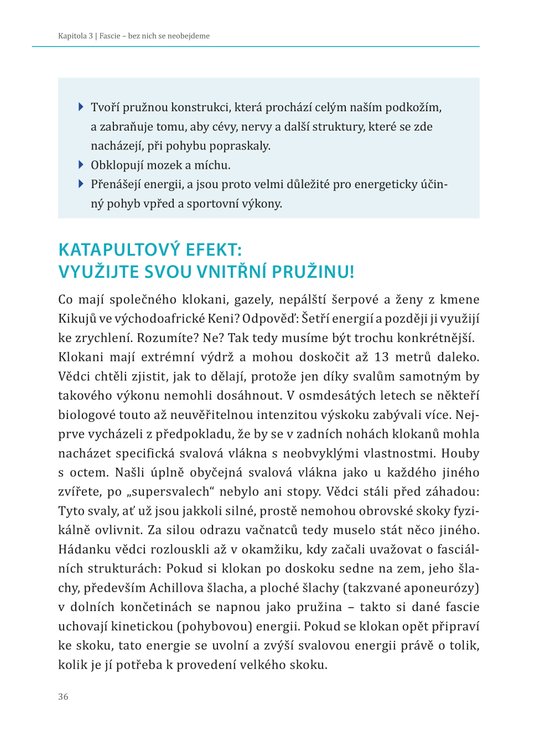 Každý krok se počítá