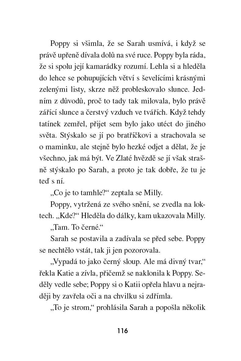 Stáje Zlatá hvězda – Ztraceny v bouřce