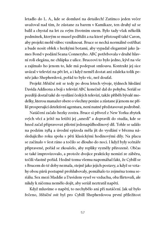 Bruce Willis: Poslední skaut