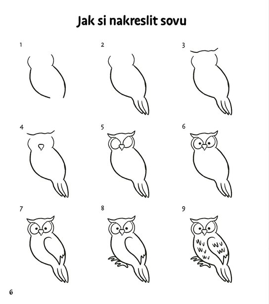 Kresli a objevuj zvířata
