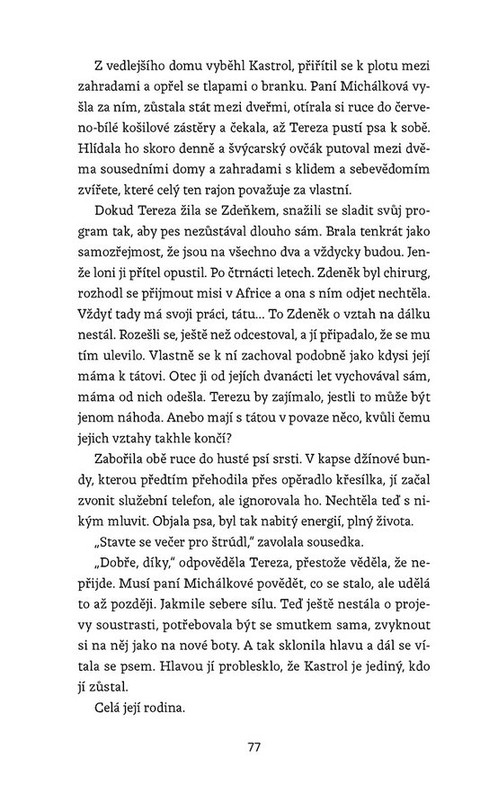 Letní slunovrat