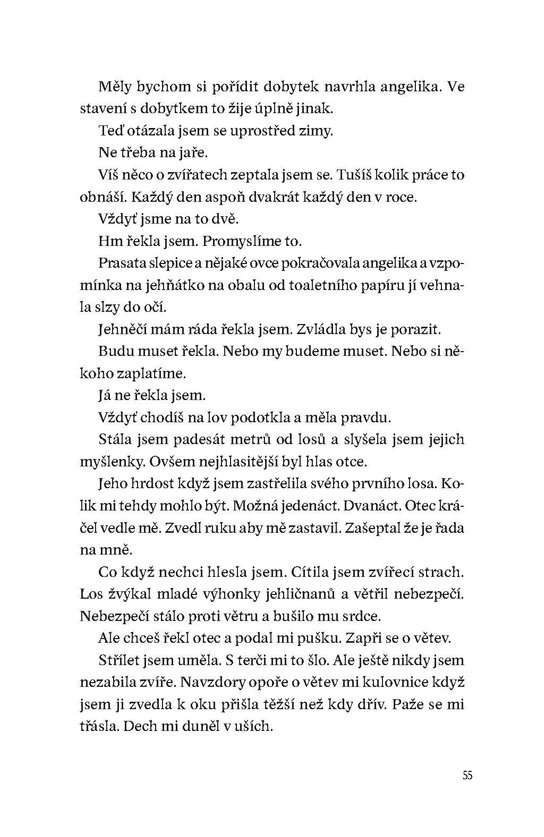Návrat domů