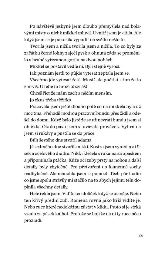 Návrat domů