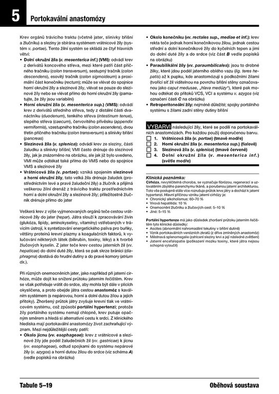 Netterův vybarvovací anatomický atlas 